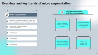 Macro VS Micromarketing Strategies MKT CD V Professional Adaptable