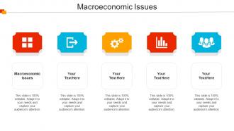 Macroeconomic Issues Ppt Powerpoint Presentation Model Diagrams Cpb