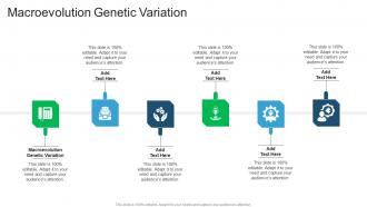 Macroevolution Genetic Variation In Powerpoint And Google Slides Cpb