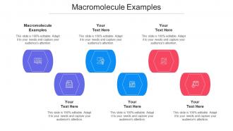 Macromolecule Examples Ppt Powerpoint Presentation Infographics Deck Cpb