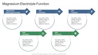 Magnesium Electrolyte Function In Powerpoint And Google Slides Cpb