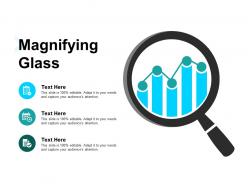 Magnifying glass big data ppt powerpoint presentation show professional