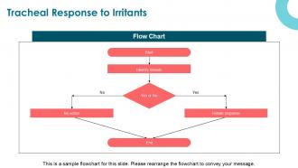Main Function Of The Trachea PPT Outline ACP Attractive Impressive