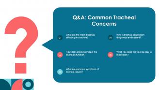 Main Function Of The Trachea PPT Outline ACP Impactful Interactive