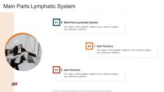 Main Parts Lymphatic System In Powerpoint And Google Slides Cpb
