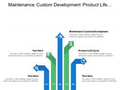 Maintenance custom development product life cycle analysis price