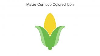 Maize Corncob Colored Icon In Powerpoint Pptx Png And Editable Eps Format
