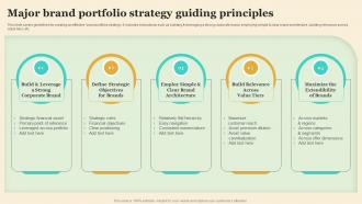 Major Brand Portfolio Strategy Guiding Principles Making Brand Portfolio Work