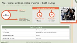 Major Components Crucial For Branding Guideline Brand Performance Maintenance Team