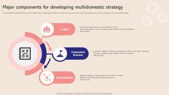 Major Components For Developing Multidomestic Strategy