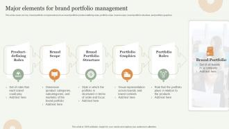 Major Elements For Brand Portfolio Management Strategic Approach Toward Optimizing