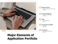 Major elements of application portfolio