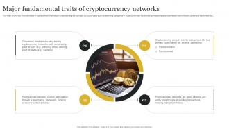 Major Fundamental Traits Of Cryptocurrency Networks Definitive Guide To Blockchain BCT SS V