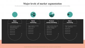 Major Levels Of Market Segmentation Comprehensive Summary Of Mass MKT SS V