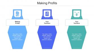 Making profits ppt powerpoint presentation portfolio gridlines cpb