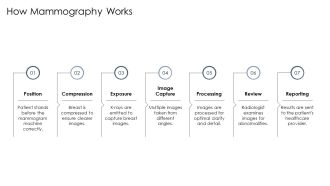 Mammography Basics Understanding Breast Cancer Screening X Rays PPT Information AT Impressive Content Ready