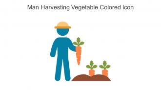 Man Harvesting Vegetable Colored Icon In Powerpoint Pptx Png And Editable Eps Format