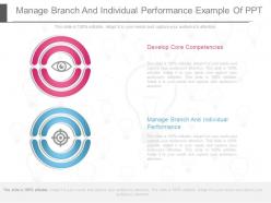 Manage branch and individual performance example of ppt