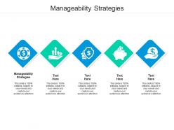 Manageability strategies ppt powerpoint presentation icon aids cpb