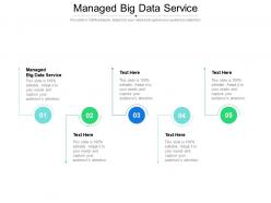 Managed big data service ppt powerpoint presentation file formats cpb