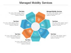 Managed mobility services ppt powerpoint presentation infographics show cpb