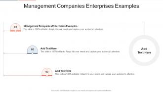 Management Companies Enterprises Examples In Powerpoint And Google Slides Cpb
