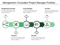 Management Consultant Project Manager Portfolio Strategy