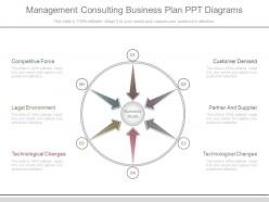 Management consulting business plan ppt diagrams