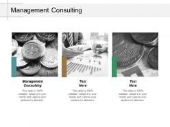 Management consulting ppt powerpoint presentation pictures visual aids cpb
