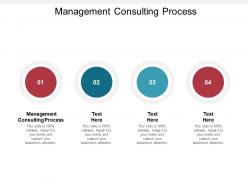 Management consulting process ppt powerpoint presentation show graphic tips cpb