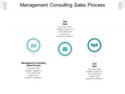 Management consulting sales process ppt powerpoint presentation styles mockup cpb
