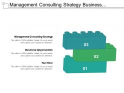 Management consulting strategy business opportunities strategic sourcing process cpb