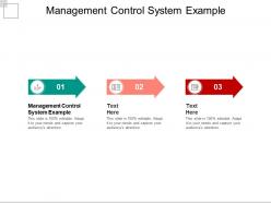 Management control system example ppt powerpoint presentation infographic template icon cpb