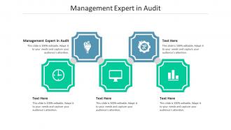 Management expert in audit ppt powerpoint presentation styles model cpb