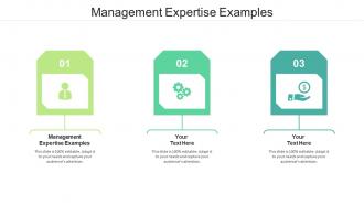 Management Expertise Examples Ppt Powerpoint Presentation Inspiration File Formats Cpb