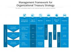 Management framework for organizational treasury strategy