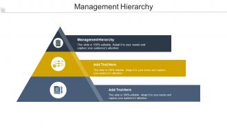 Management Hierarchy Ppt Powerpoint Presentation Layouts Pictures Cpb