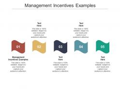 Management incentives examples ppt powerpoint presentation show slideshow cpb