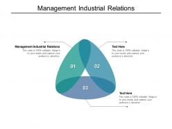 Management industrial relations ppt powerpoint presentation infographic template deck cpb