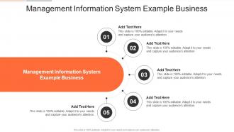 Management Information System Example Business In Powerpoint And Google Slides Cpb