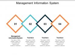 Management information system ppt powerpoint presentation summary portfolio cpb