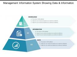Management information system showing data and information
