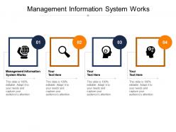 Management information system works ppt powerpoint presentation outline design templates cpb