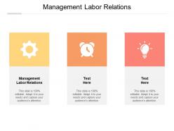 Management labor relations ppt powerpoint presentation inspiration pictures cpb