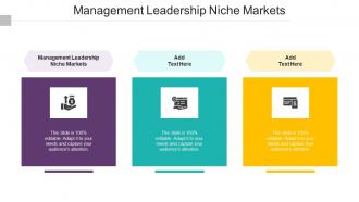 Management Leadership Niche Markets In Powerpoint And Google Slides Cpb