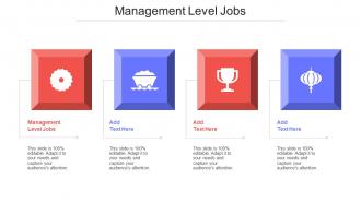 Management Level Jobs Ppt Powerpoint Presentation Styles Maker Cpb