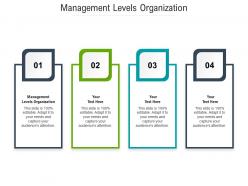 Management levels organization ppt powerpoint presentation slides layout ideas cpb