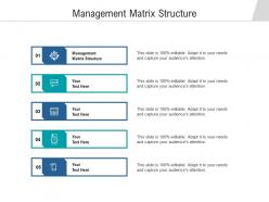 Management matrix structure ppt powerpoint presentation file deck cpb
