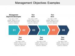Management objectives examples ppt powerpoint presentation infographic template styles cpb