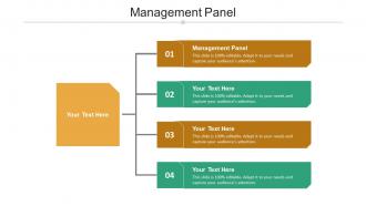 Management panel ppt powerpoint presentation inspiration styles cpb